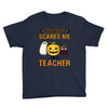 nothing scares me i'm a teacher Youth Tee