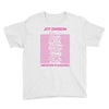 Joy Division Unknown Pleasures Youth Tee