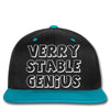 verry stable genius Snapback