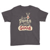 dear santa i've been good Youth Tee