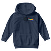 pink floyd parody d20 dungeons and dragons Youth Hoodie