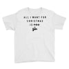 All I Want For Christmas Is You Youth Tee