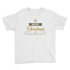 snow merry christmas Youth Tee