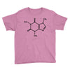 Caffeine Molecule Youth Tee