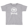 illuminati Toddler T-shirt