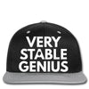 verry stable genius Snapback