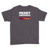 merry crispness Youth Tee
