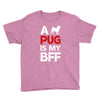 a pug is my bff Youth Tee