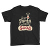 dear santa i've been good Youth Tee