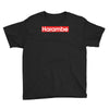 harambe gorilla Youth Tee
