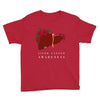 liver cancer awareness Youth Tee