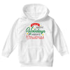 we wish you happy holidays &amp; merry christmas Youth Hoodie