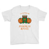 i'd rather be drinking pumpkin spice Youth Tee