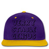 verry stable genius Snapback