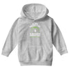 alien abductee survivor tour ufo nerd geek comic funny Youth Hoodie