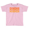 pumpkin pumpkin pumpkin Toddler T-shirt