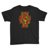funny ferry mucking christmas, ideal gift or christmas present. Youth Tee