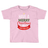 have a merry christmas and a happy new year Toddler T-shirt