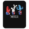 4th of July Mousepad