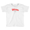 excelsior yk218 best trending Toddler T-shirt