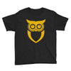 owl  (10) Youth Tee