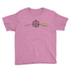 pink floyd parody d20 dungeons and dragons Youth Tee
