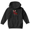 chihuahuapool Youth Hoodie