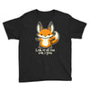 all the fox Youth Tee