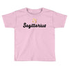 sagittarius Toddler T-shirt