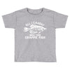 all i caught was this crappie fish Toddler T-shirt