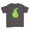 grizzly pear Youth Tee