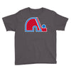 quebec nordiques Youth Tee