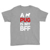 a pug is my bff Youth Tee