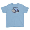 blanket purrito Youth Tee
