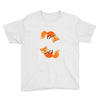 space fox Youth Tee