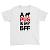 a pug is my bff Youth Tee