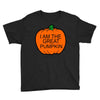 great pumpkin Youth Tee
