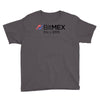 100x or gtfo bitmex edition Youth Tee