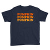 pumpkin pumpkin pumpkin Youth Tee
