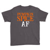 pumpkin space af Youth Tee