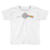 pink floyd parody d20 dungeons and dragons Toddler T-shirt