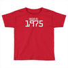 made in 1975 birthday celebration funny party Toddler T-shirt