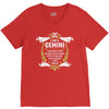 I Am A Gemini V-Neck Tee