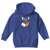 for fox sake Youth Hoodie