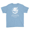 galapagos islands trending Youth Tee