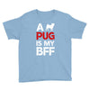a pug is my bff Youth Tee