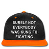 surely not everybody was kung fu fighting Snapback