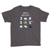 cat's resume Youth Tee