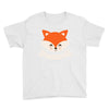 Oh For Fox Sake Youth Tee