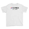 100x or gtfo bitmex edition Youth Tee